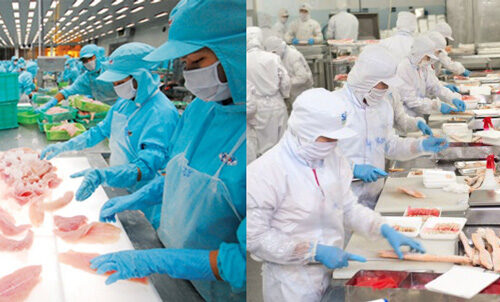 Ứng Dụng Nhựa PP Làm Thớt Nhựa Công Nghiệp: Tư Vấn - Báo Giá T12/2025 - Địa Chỉ Cung Cấp Uy Tín