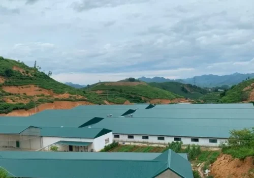 Tấm Lợp Mái Nhà Bằng Nhựa Có Chịu Được Nắng Mưa Không? Phân Tích Từ Chuyên Gia