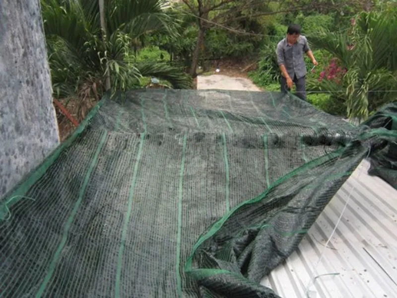 Chi Tiết 10+ Cách Làm Mát Cho Nhà Mái Tôn Phổ Biến Hiện Nay 9 Lưới che nắng, giàn cây leo