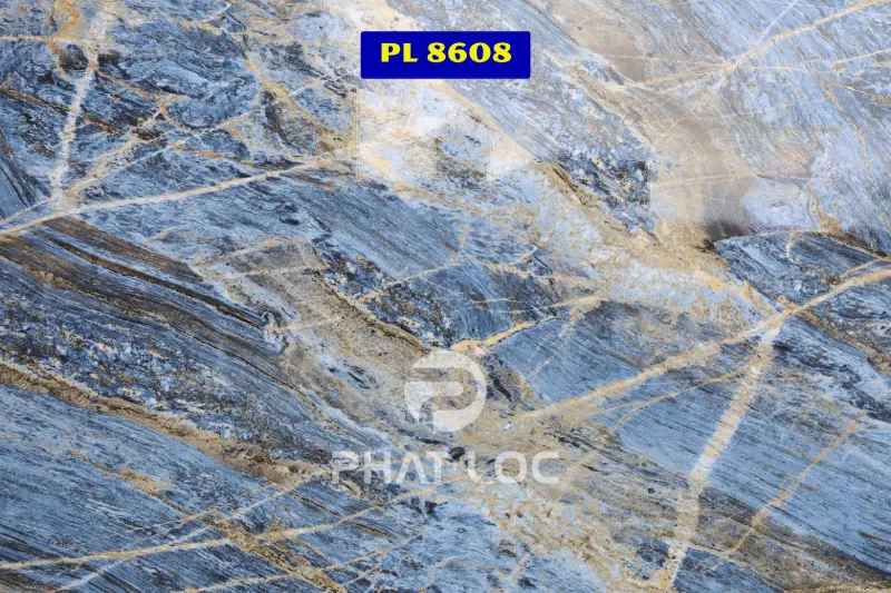 Mẫu 2: PL-8608