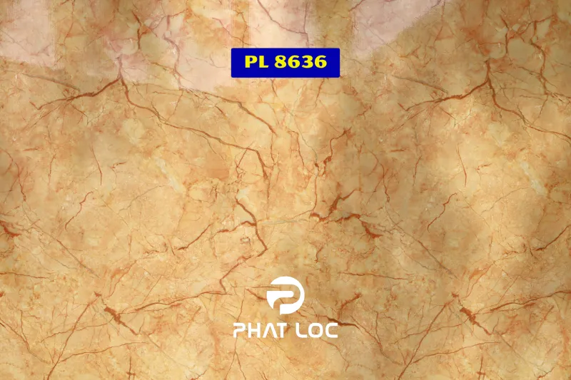 Mẫu 4: PL-8636