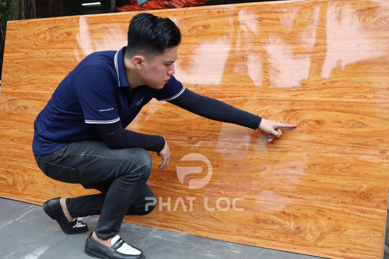 pl 8940 anh 2