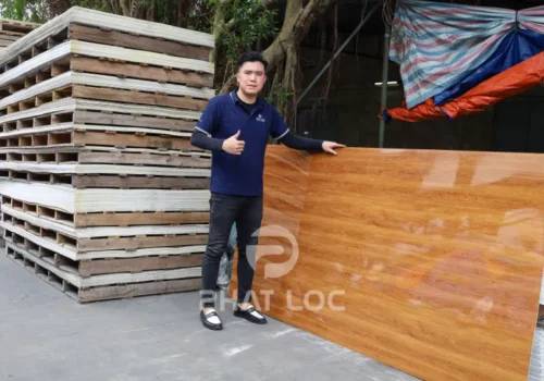 Tấm Nhựa Ốp Tường Vân Gỗ Chống Nước, Mối Mọt Tốt Không? Giải Đáp Chi Tiết & Lời Khuyên Năm 2025