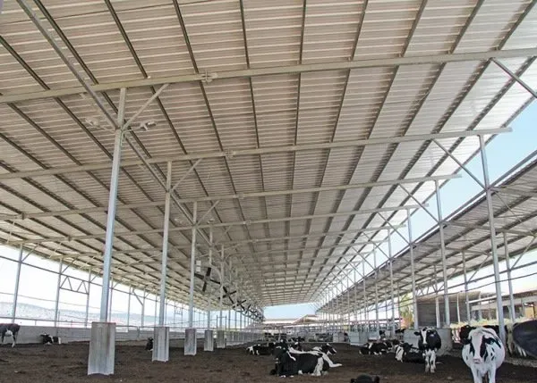 Tôn Nhựa Trắng Phù Hợp Với Công Trình Nào Trong Năm 2026? 6 Trang trại