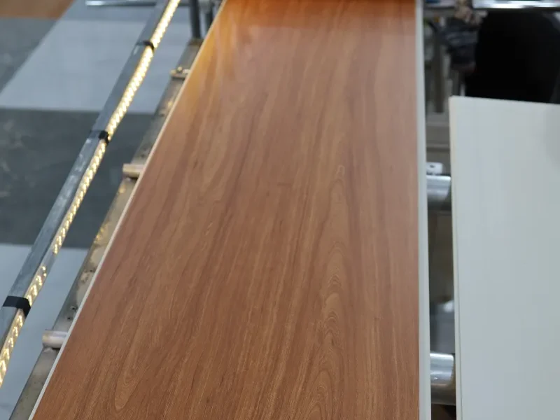 mang film pvc plg 66003 anh 4