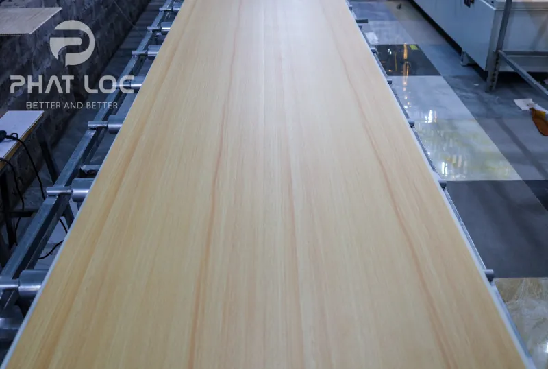 Giải Đáp: Màng PVC Dùng Để Làm Gì Trong Thực Tế? 5 Giá màng PVC phụ thuộc vào yếu tố nào?