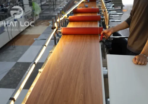 Giải Đáp: Màng PVC Dùng Để Làm Gì Trong Thực Tế?